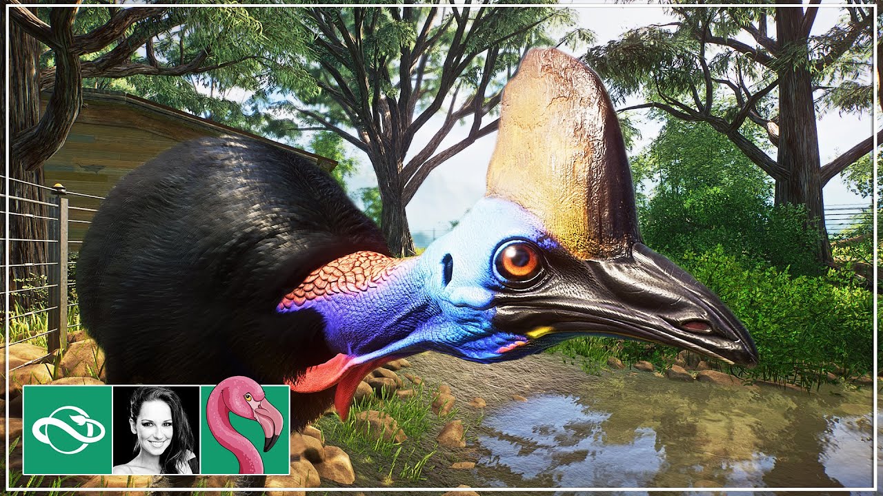 I Built a LUSH Cassowary Habitat & Australian Food Trucks in Planet Zoo Franchise Mode