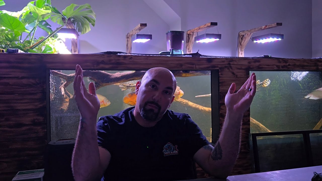 FUTURE PLANS ON THIS CHANNEL(Talking Head)...