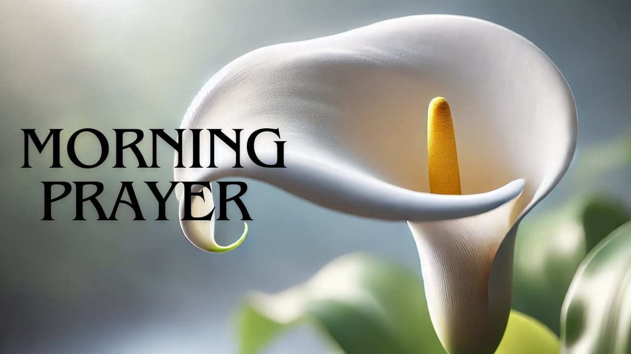 MORNING PRAYER - 🌿 LED BY THE SHEPHERD WHO NEVER ABANDONS ME