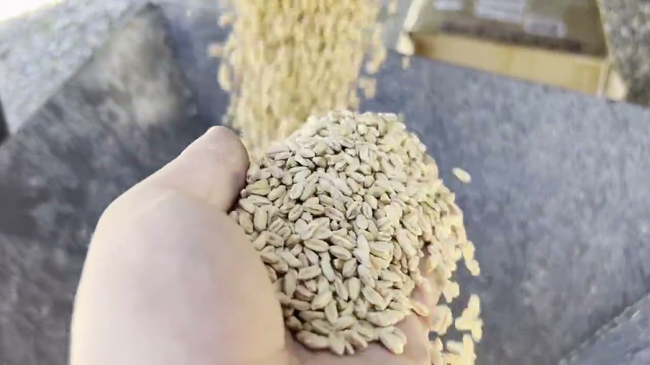 Portable Color Sorter