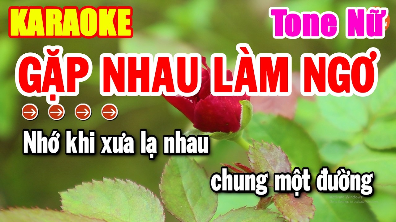 Karaoke Gặp Nhau Làm Ngơ Tone Nữ Nhạc Sống Cha Cha Dễ Hát 2026 | Hải Tiên