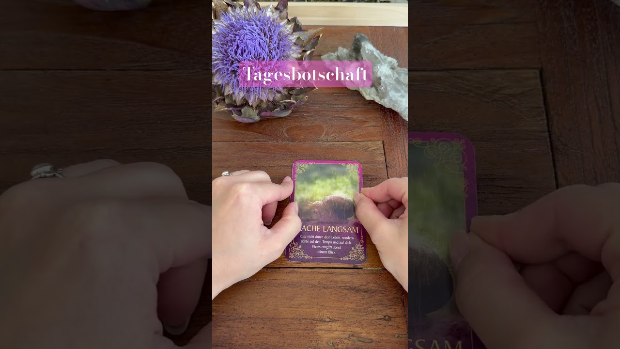💫Deine Seelenbotschaft f&uuml;r den heutigen Tag💫 #kartenlegung #kartenlegen #coaching #seelenbotschaft