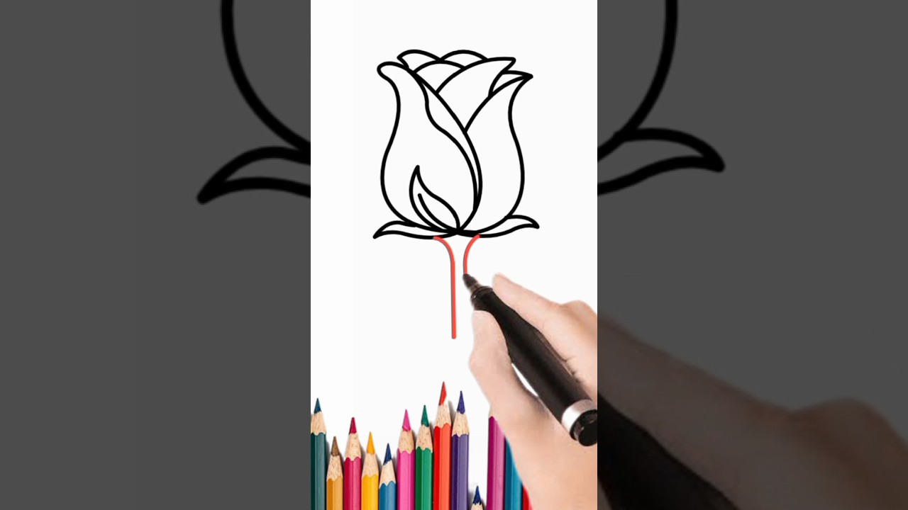 How to rose flower easy step by step #drawing #drawingtutorial #rose