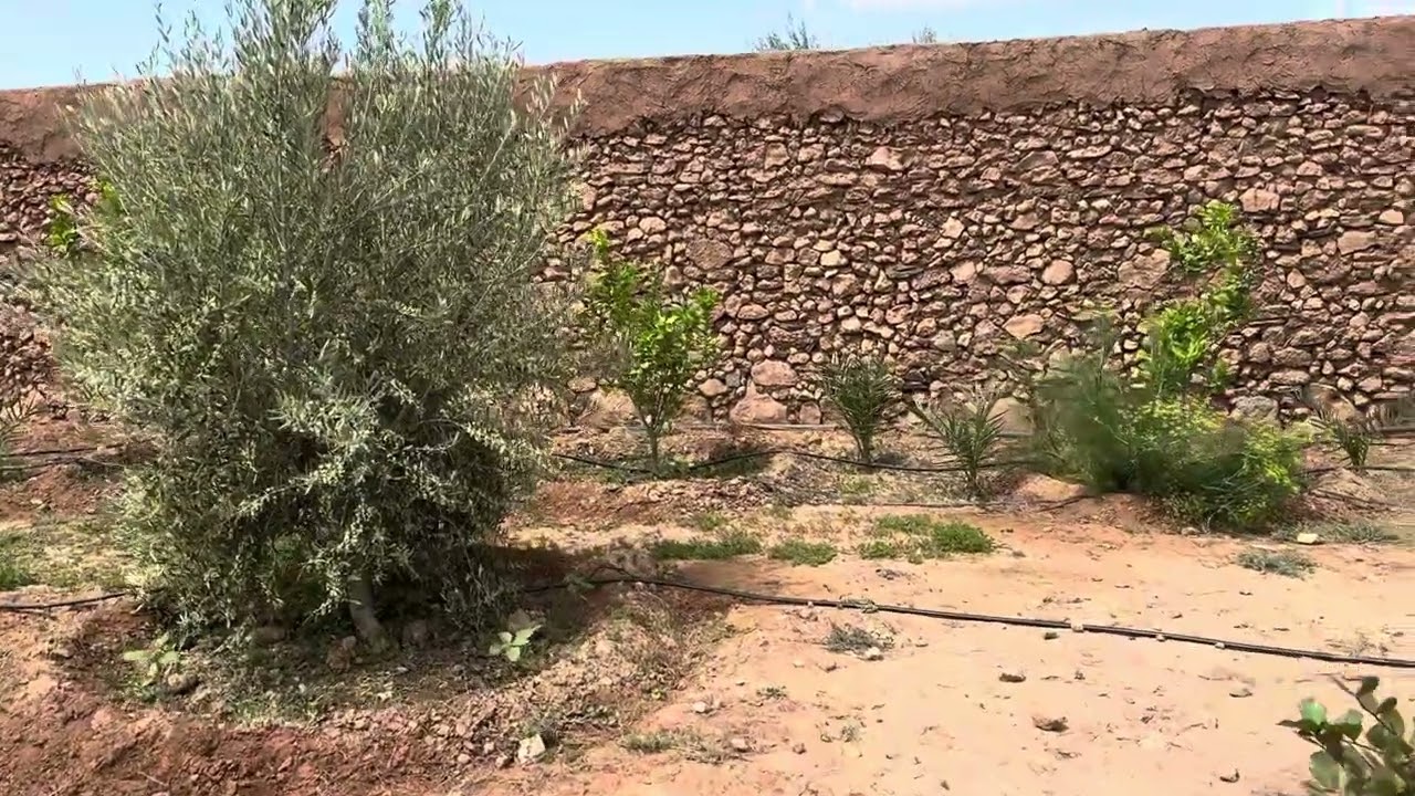 زيارة للبلاد مع هاد التساقطات المطرية 13 أبريل 2025