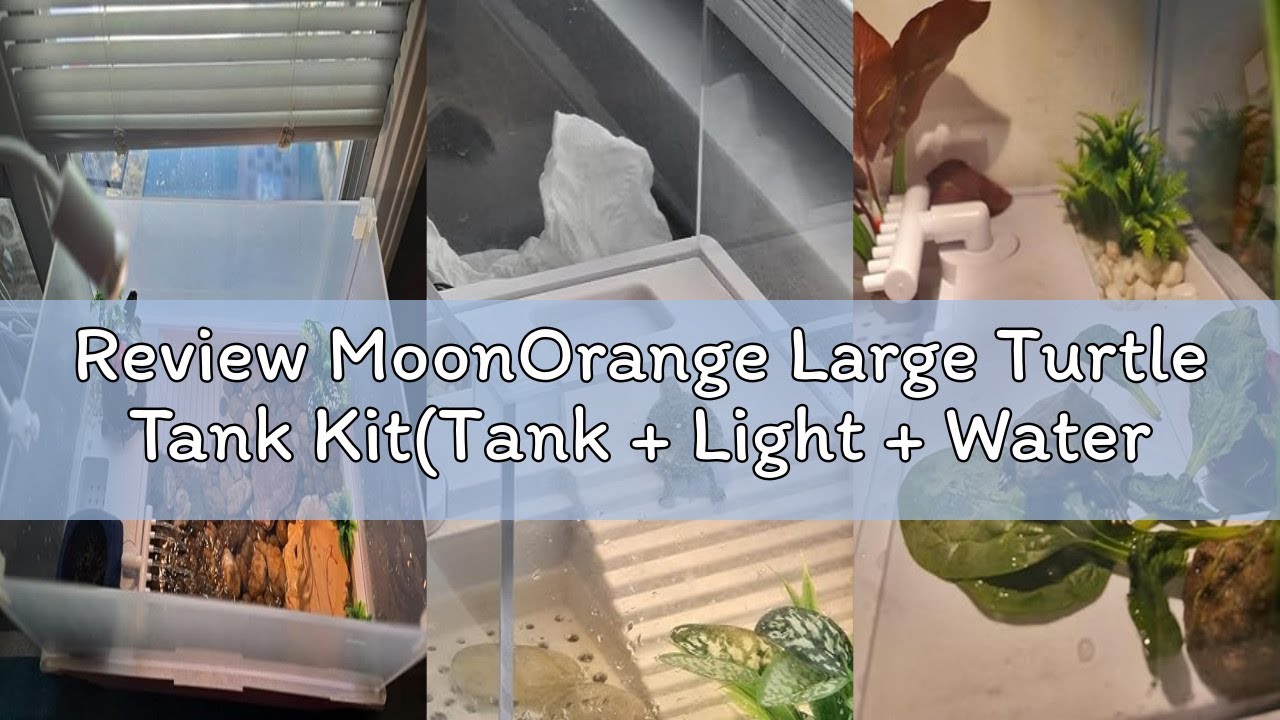 Review MoonOrange Large Turtle Tank Kit(Tank + Light + Water Pump), Acrylic Turtle Tank Starter Kit