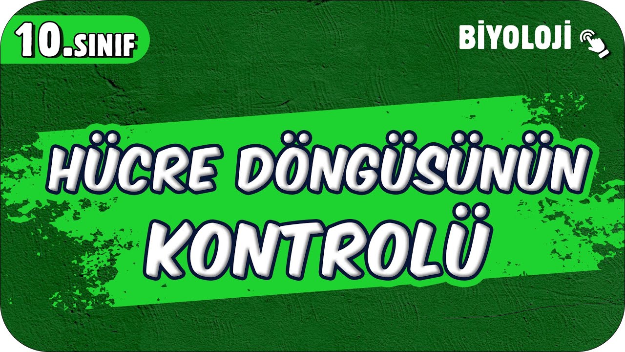 Hücre Döngüsünün Kontrolü | 10.Sınıf Biyoloji #2025