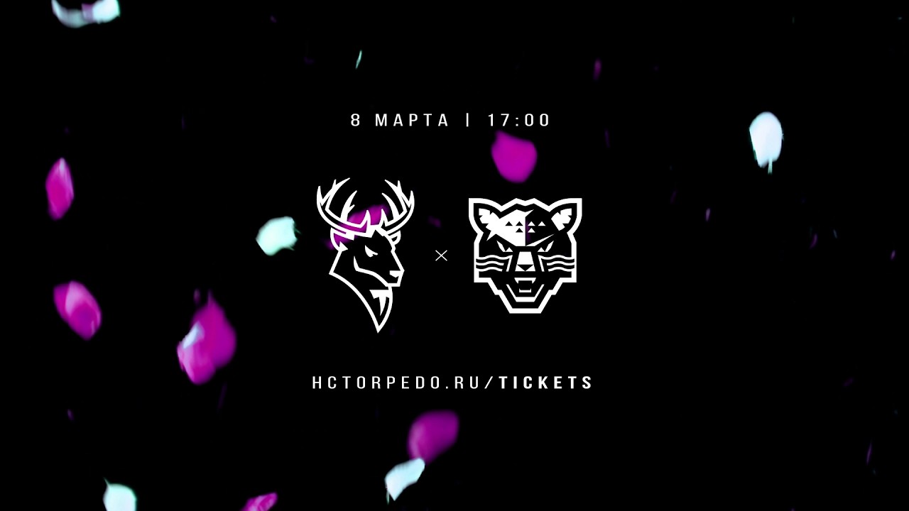 «Торпедо» x  Яндекс Про x Флаувау