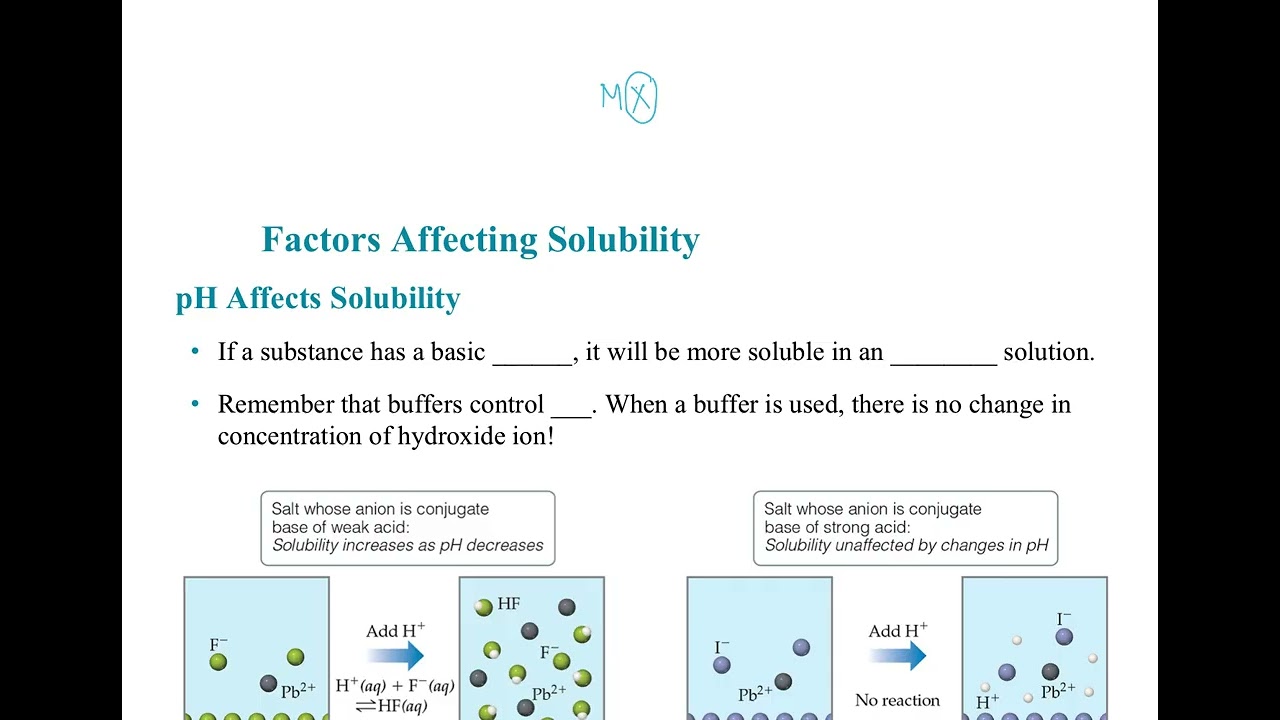 Chapter 17.5 Video - Factors that Affect Solubility