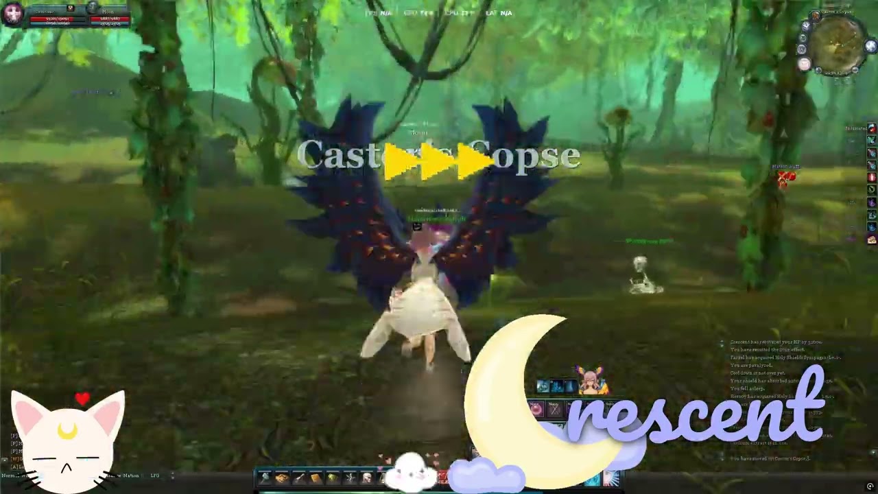 Aika CBM - Mjolnir Raid