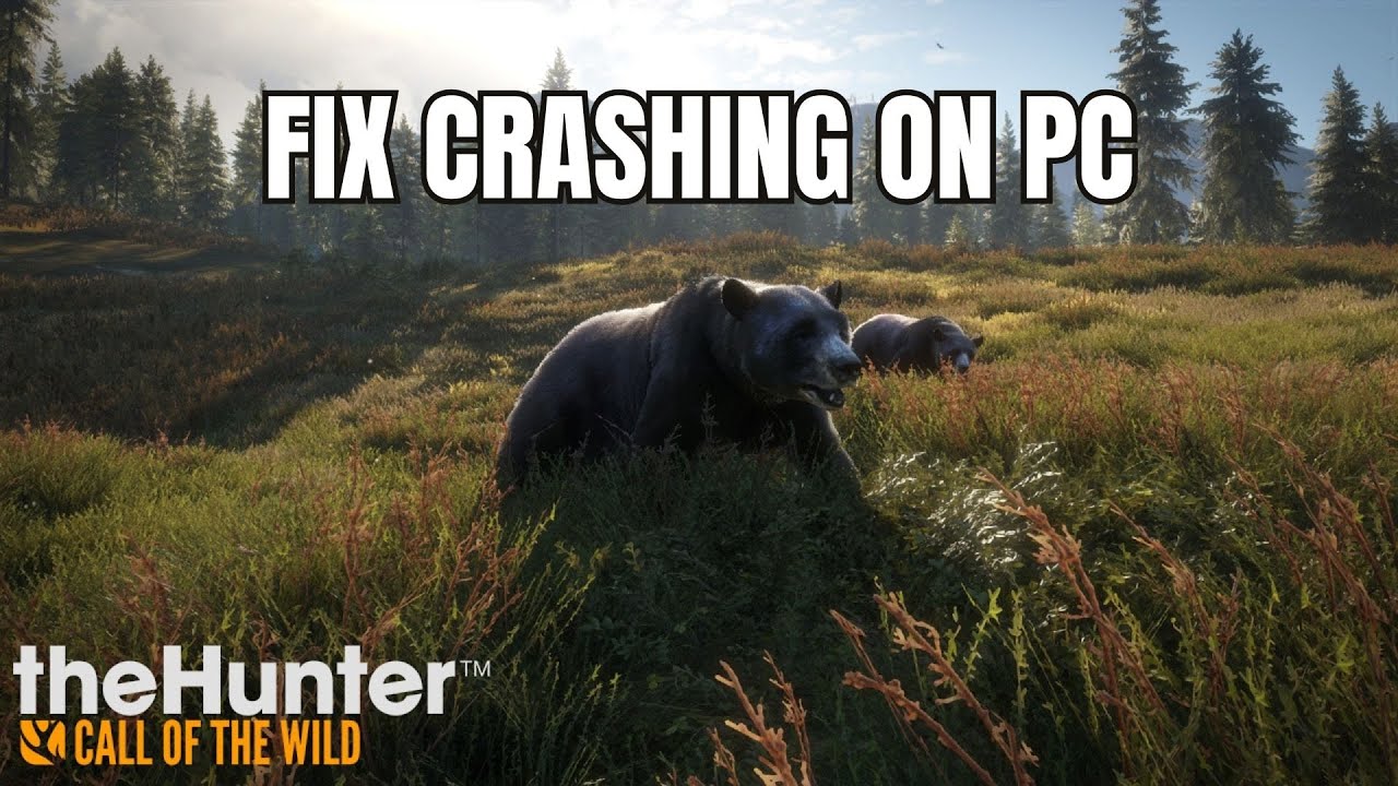 How To Fix theHunter: Call of the Wild Crashing/Crashes at Startup Error On PC
