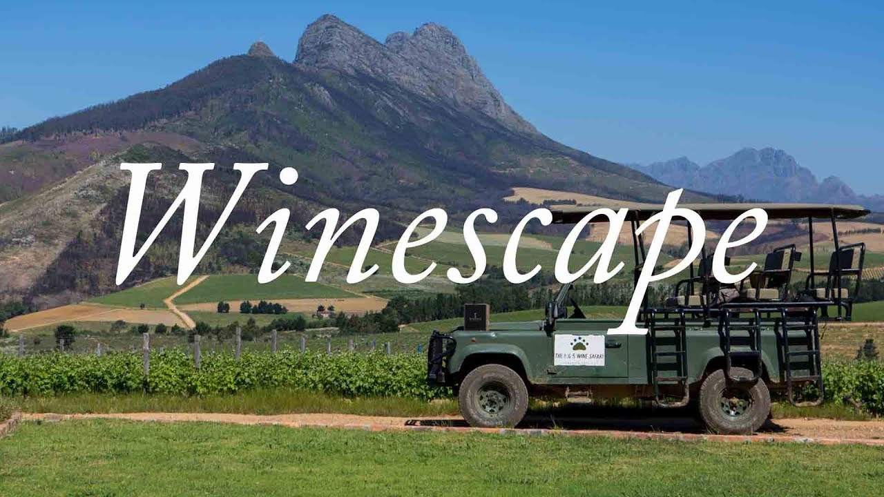 Winescape South Africa | Stories at Warwick Winery