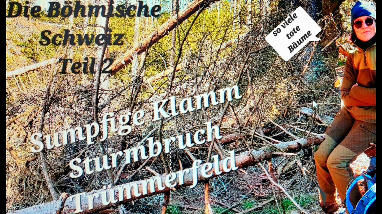 Die Böhmische Schweiz Teil 2 - Wandern durch sumpfige Klamm - Sturmbruch Landschaft - Töte Bäume -