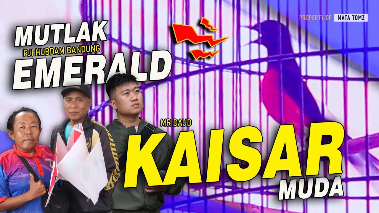 KONCER MUTLAK | KAISAR MR DAUD EMERALD SF BANDUNG