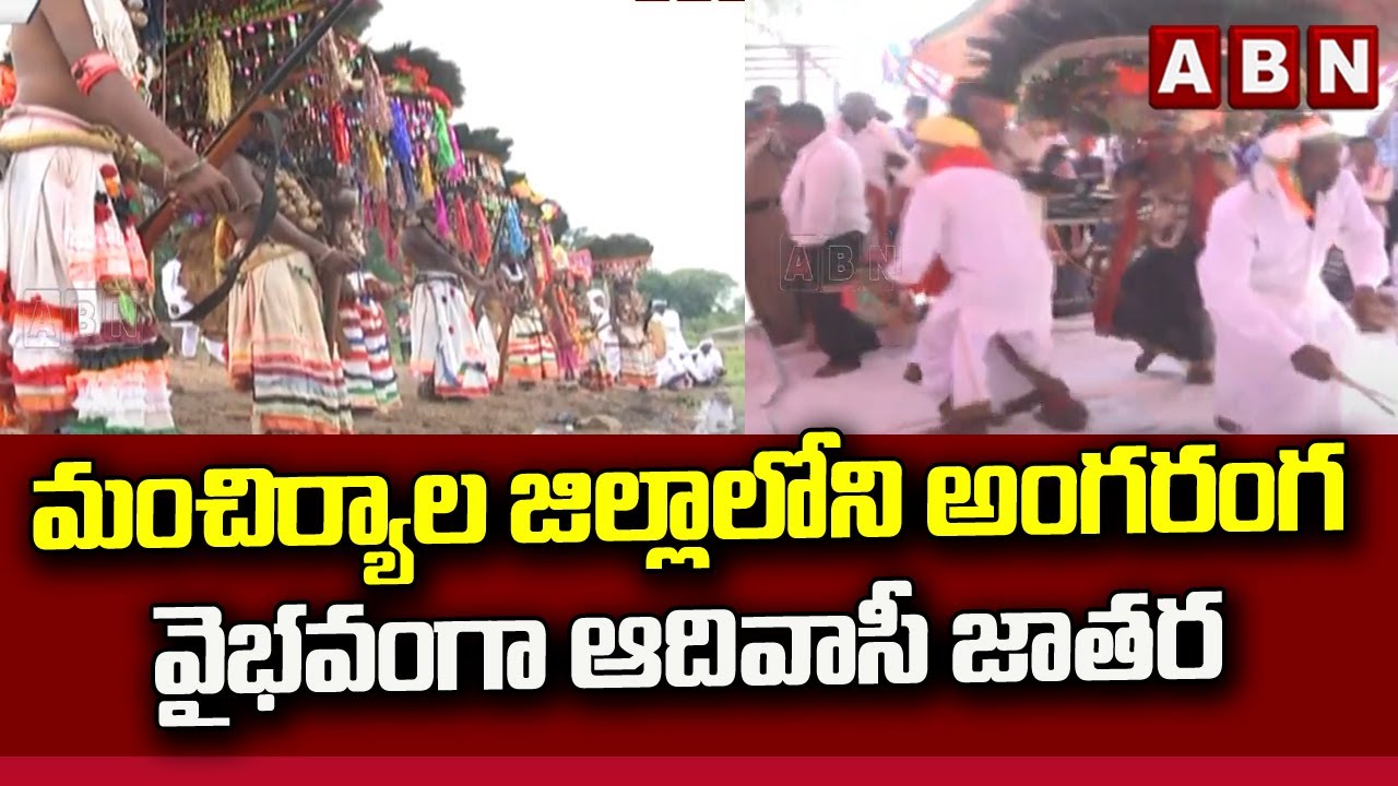 మంచిర్యాల జిల్లాలోని అంగరంగ వైభవంగా ఆదివాసీ జాతర || Telangana Adivasi Festival || ABN Telugu