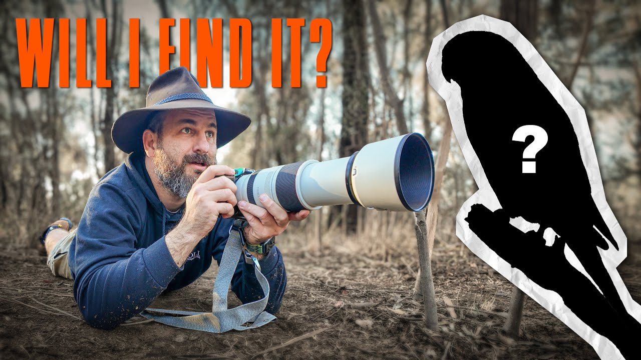 Searching for one of Australia's Rarest Birds