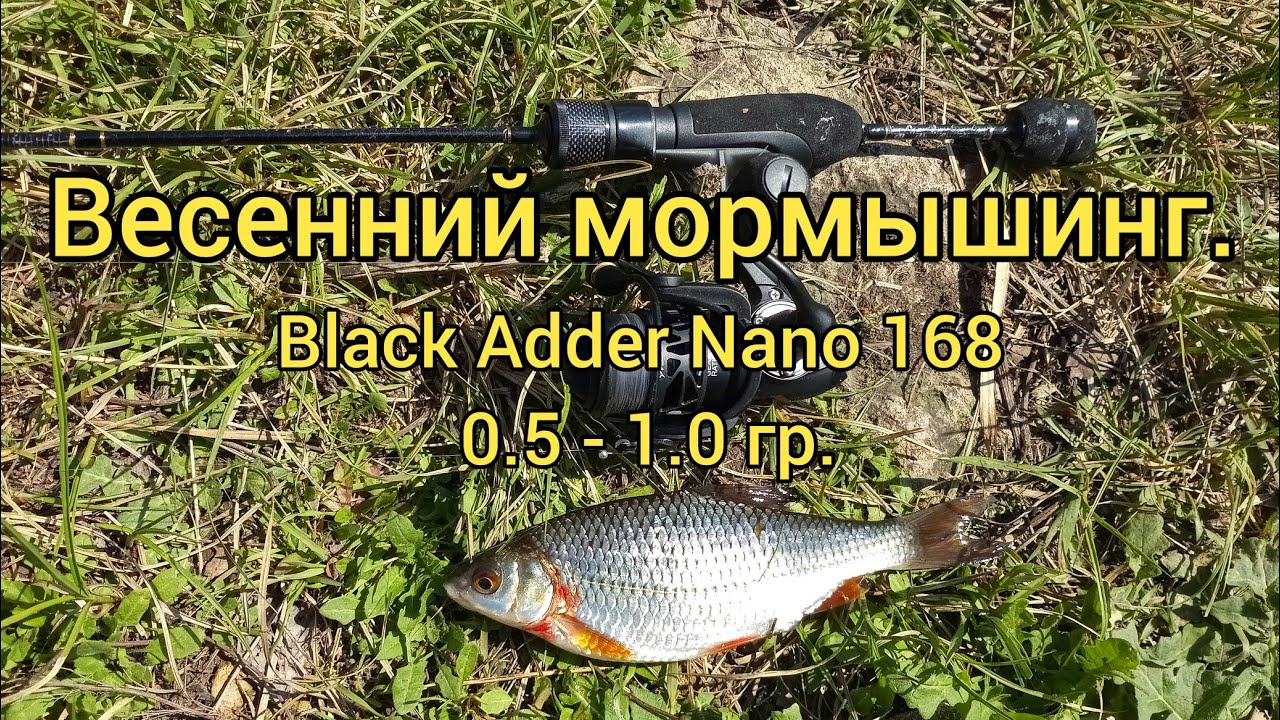Мормышинг с Black Adder Nano 168 0.5 - 1.0 гр. и Dayo Liropus 198 0.2 - 0.8 гр.