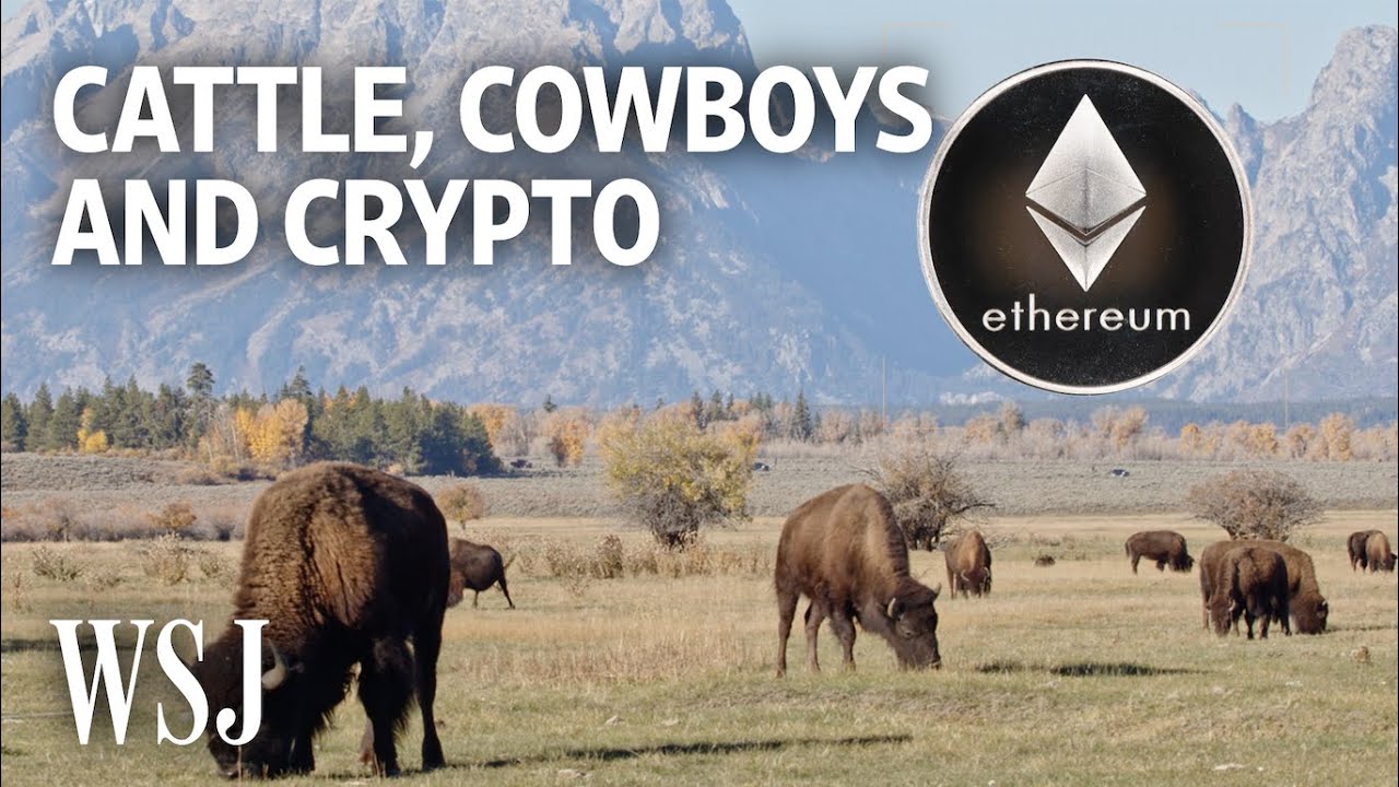 Crypto Investors Take On Wyoming Real Estate | WSJ