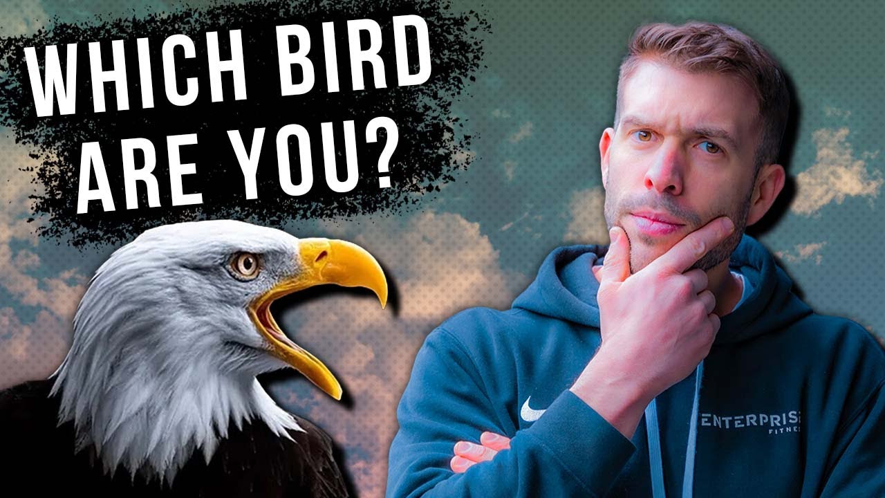 Personality Profiling Hack! Are you an Eagle?