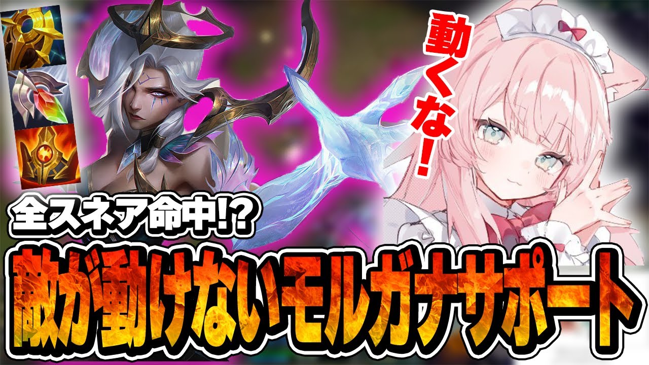 【Q職人】全スネア命中！？敵が動けないモルガナサポート【LoL/よしあき/切り抜き】