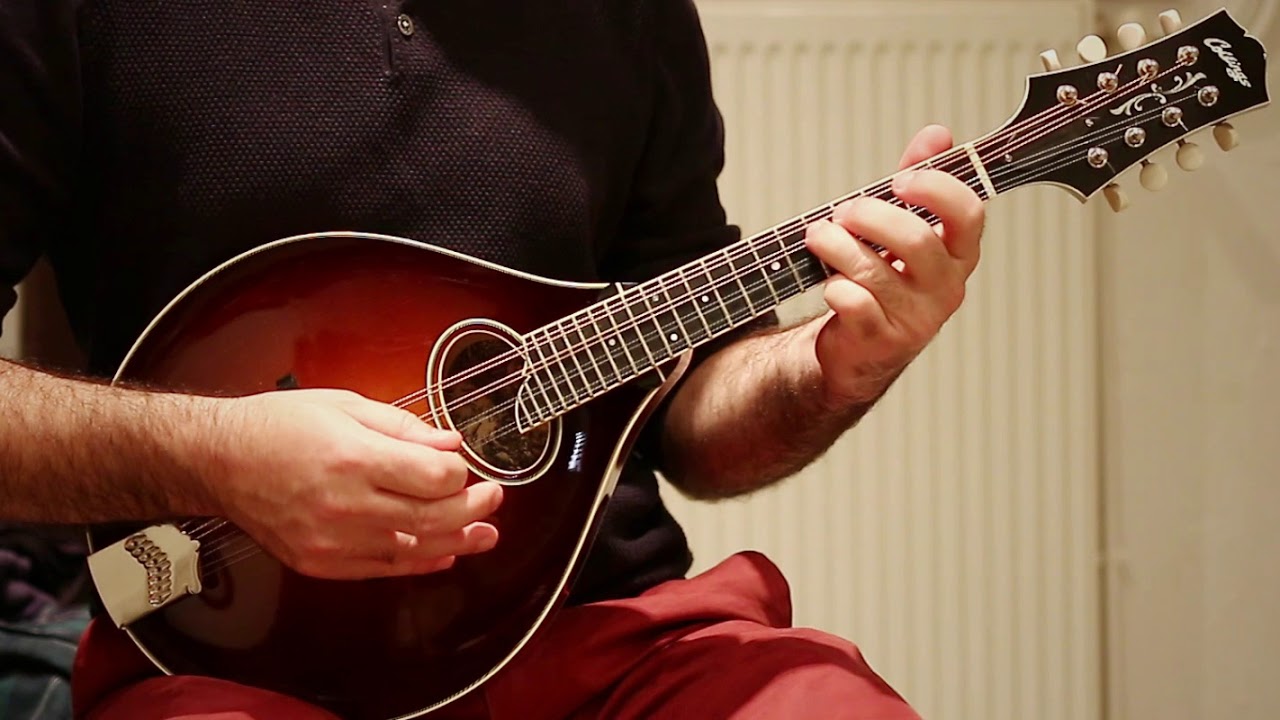 Irish mandolin tune. The Butterfly (slip jig)