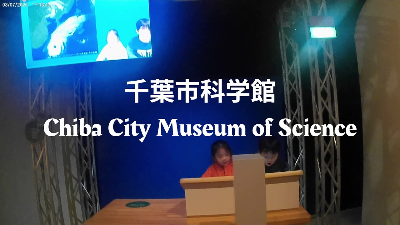 千葉市科学館 Chiba City Museum of Science #きぼーる #Qiball