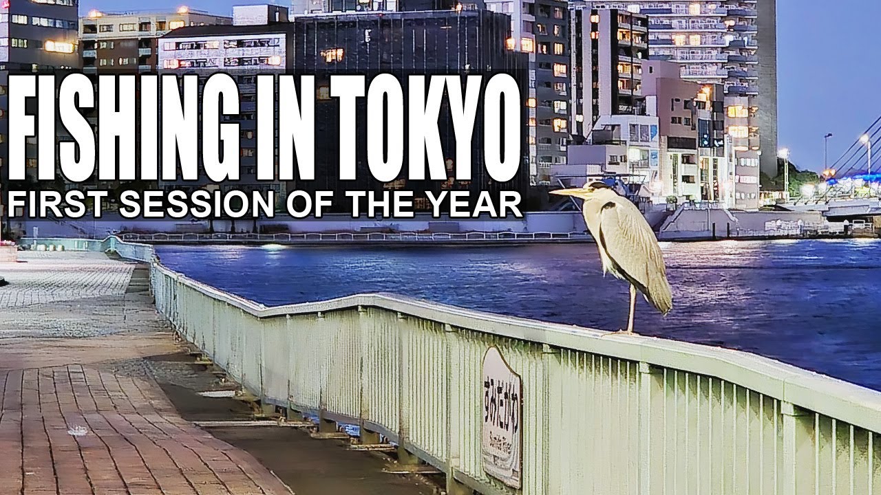 Fishing in Tokyo: First Session of the Year