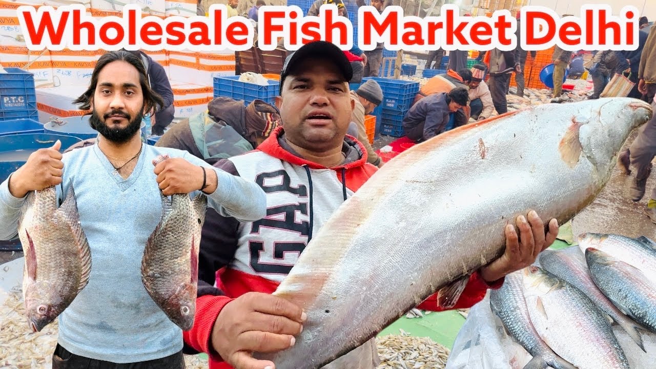 दिल्ली की सबसे बड़ी Fish Market 2025 |Biggest Wholesale Fish Market Delhi |ghazipur fish Mandi today
