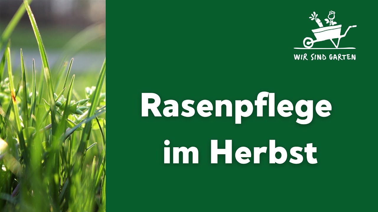 Rasenpflege im Herbst - Mit R&uuml;diger Ramme