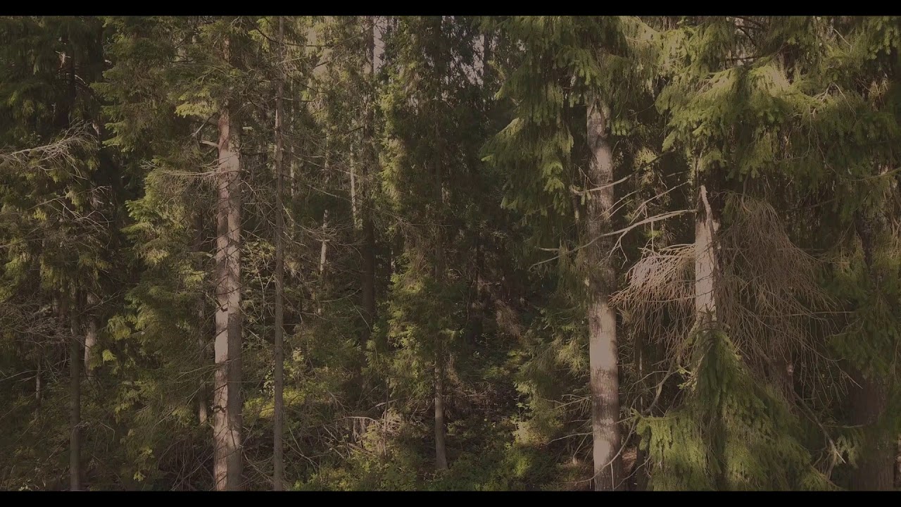 Vantaa, Finland by Drone (Martinlaakso)