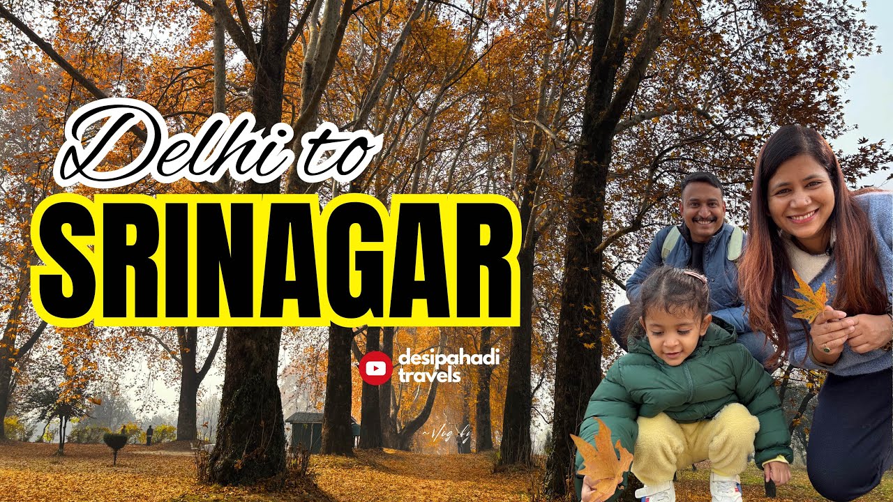 🚗 Delhi to Kashmir Family Drive | Srinagar After the Blast | Real Reactions, No Filter | Episode 1