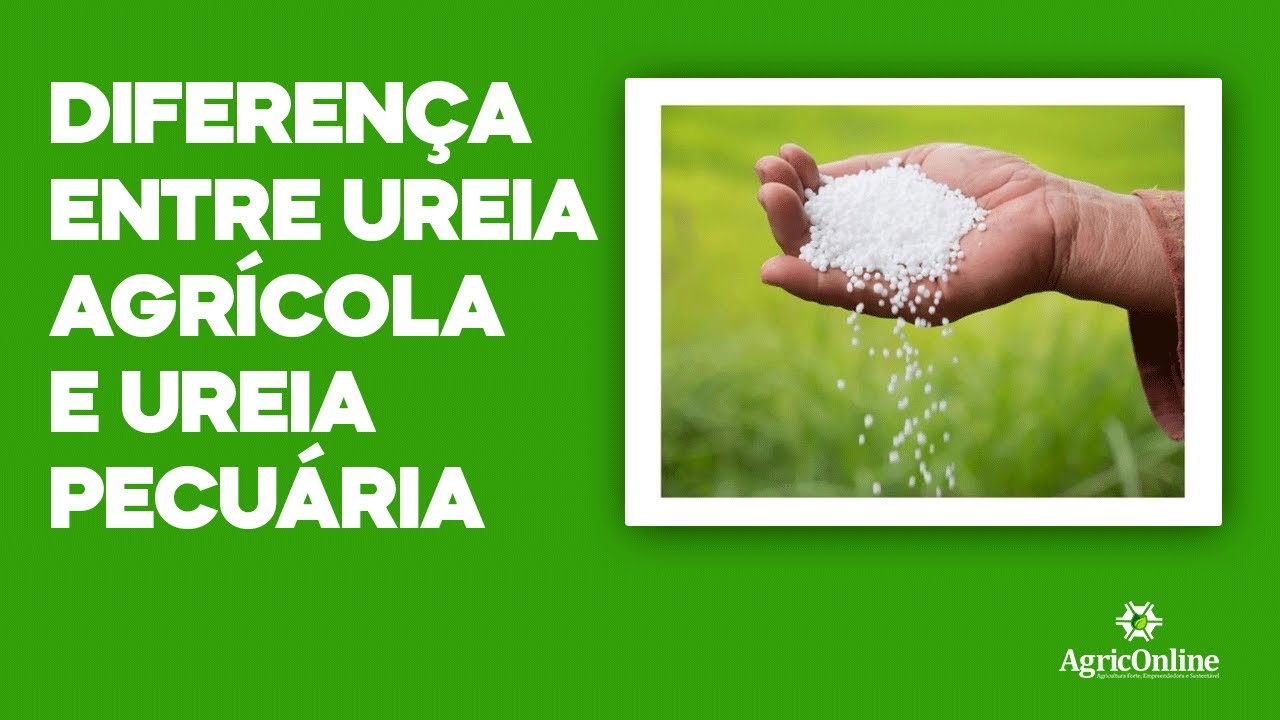 Diferença entre ureia agrícola e ureia pecuária
