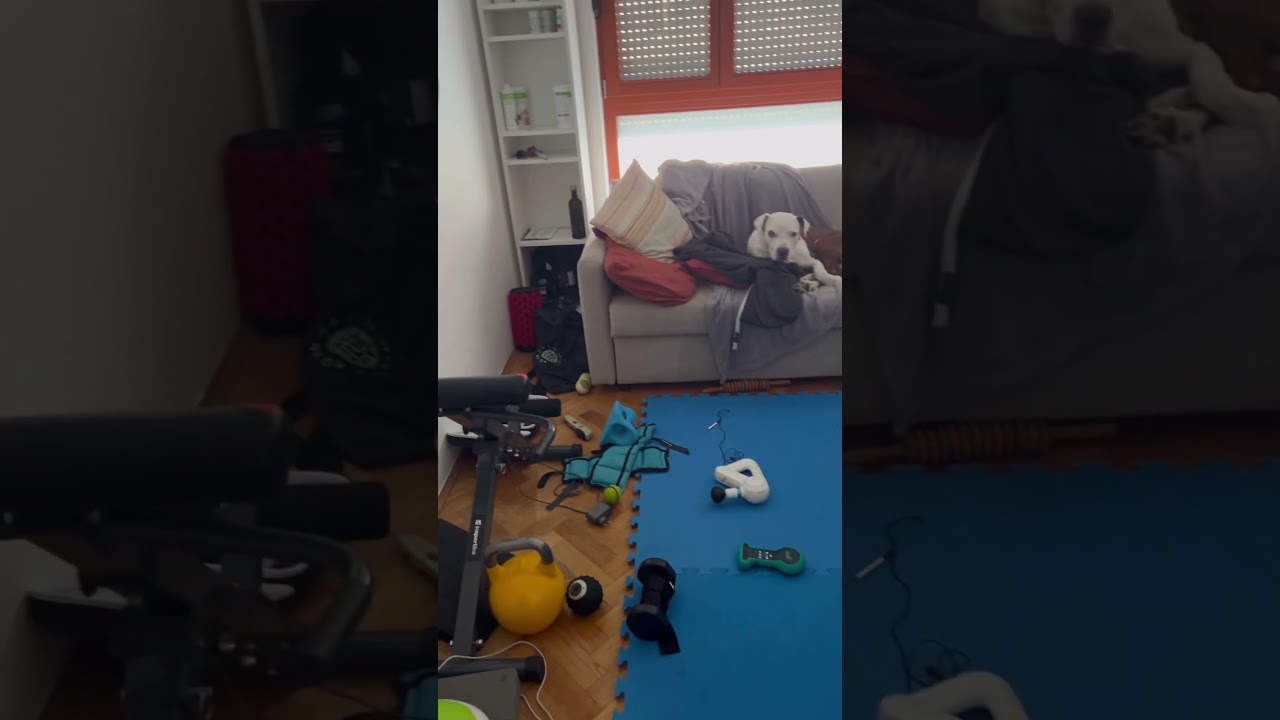 Ovako izgleda stan sa bebom 🤣