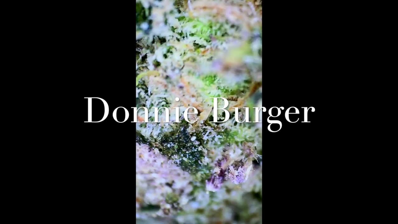 Donnie Burger