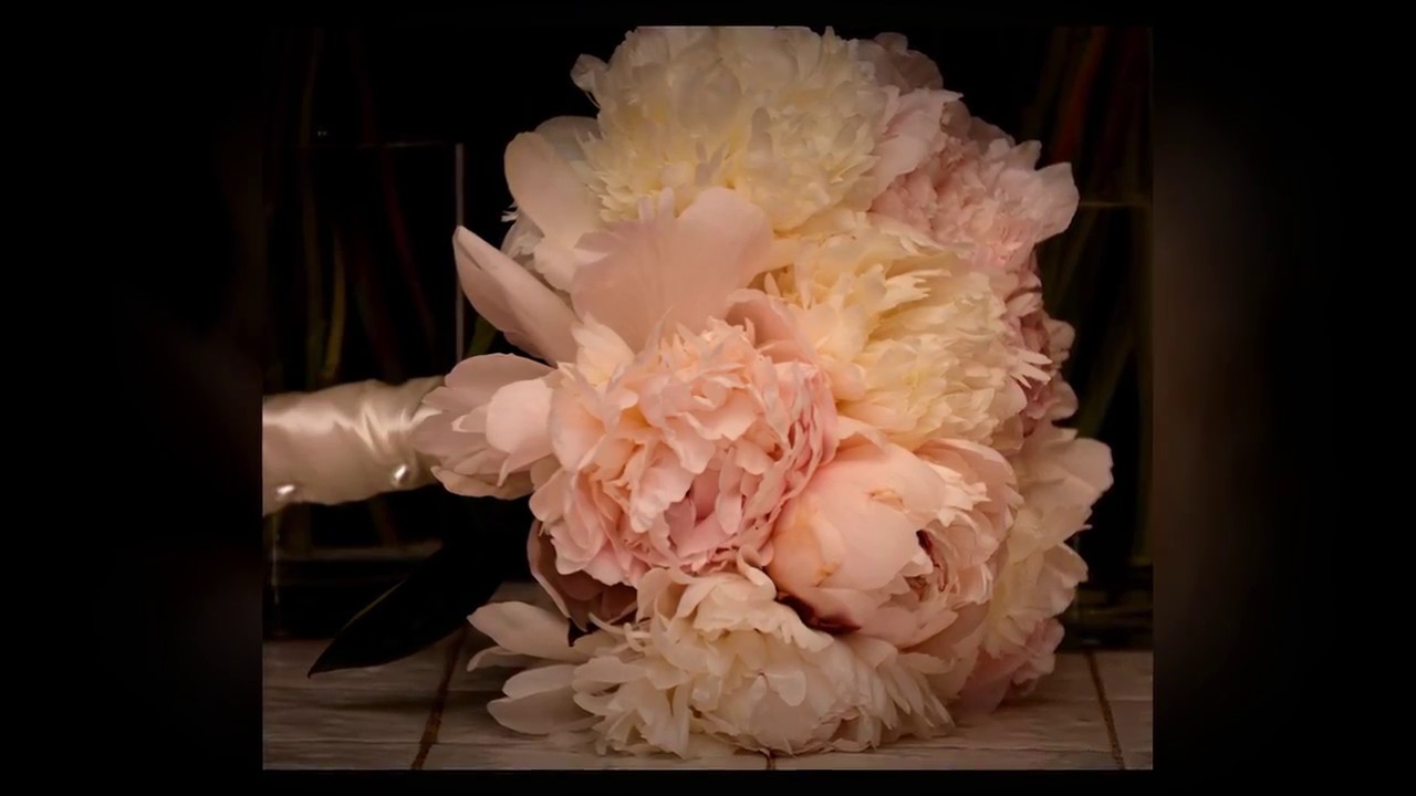 Fun With Peonies