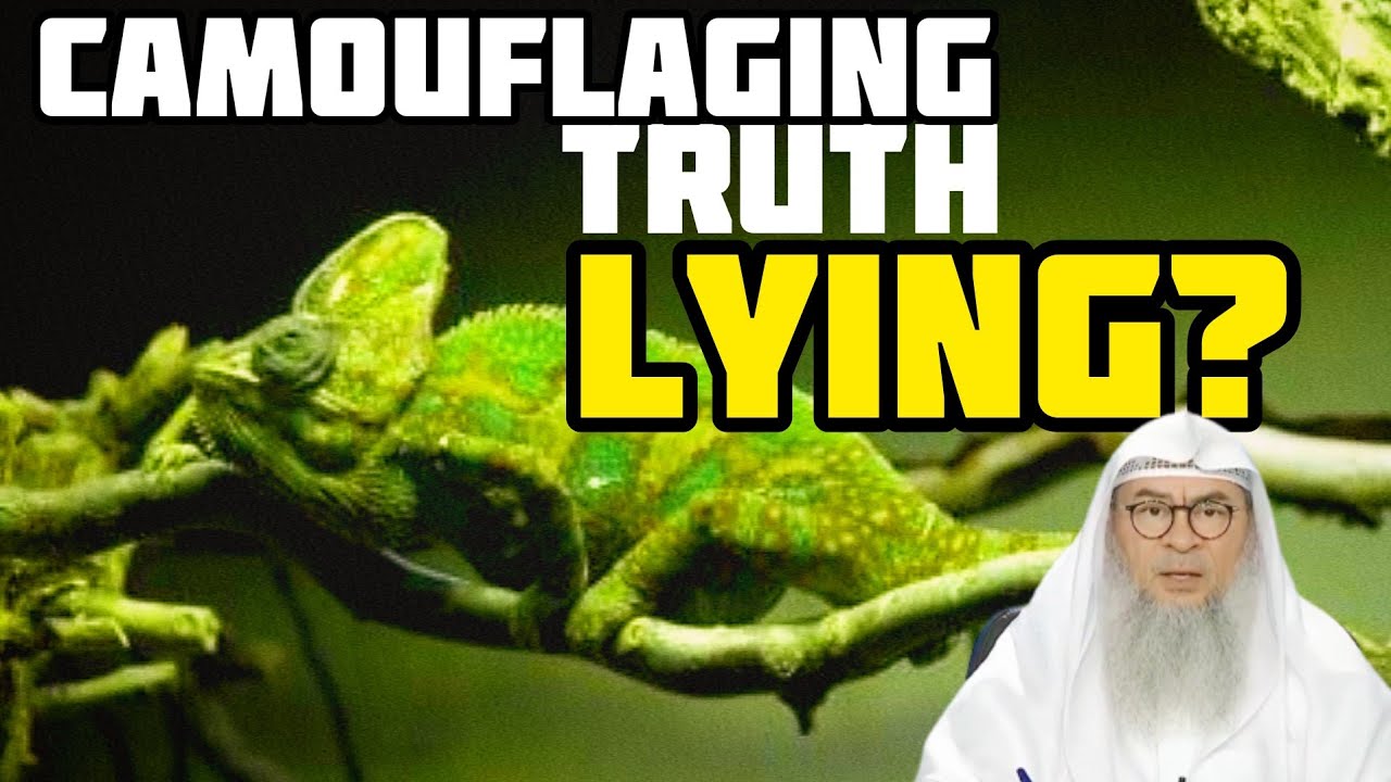 Is camouflaging the truth considered to be lying? - Assim al hakeem
