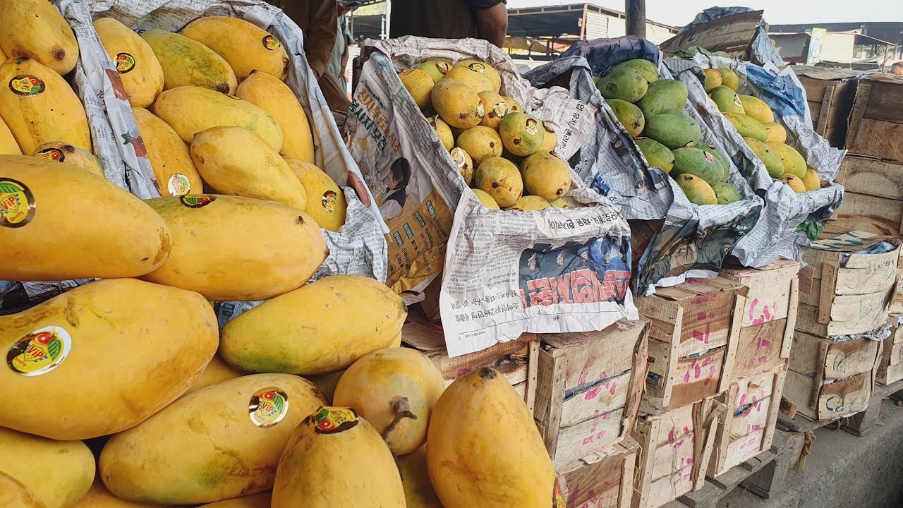 Best Export Quality Pakistani Mango | Mango Market Islamabad update | Daily fruit mandi update |