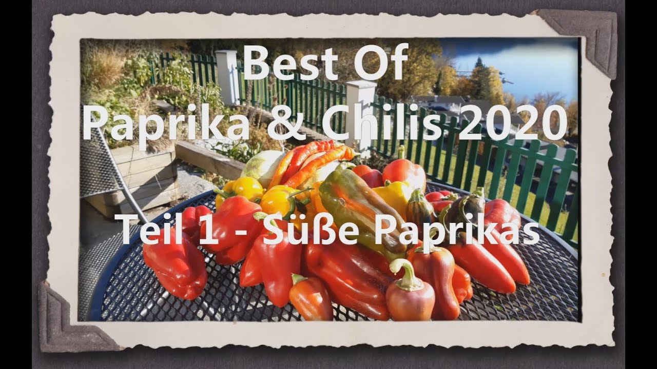 Best of Paprika & Chilis 2020 - Süße Paprikas