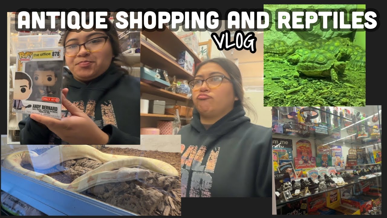 ANTIQUE WINDOW SHOPPING + REPTILE VLOG 🐍🛍️ 