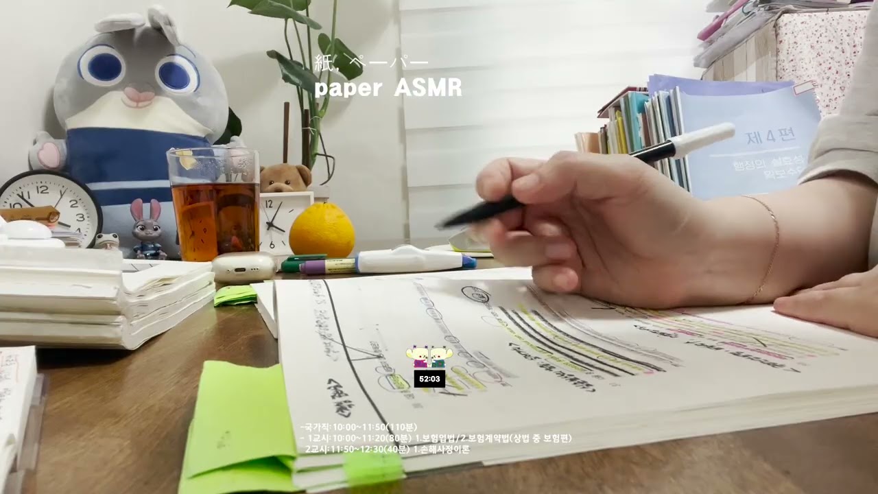 🤫ペーパー[똑똑! 60분만 같이 공부하실 분! 국가직,손해사정사,지방직] [study with me silent] [rainㅣ빗소리] [timer l타이머]