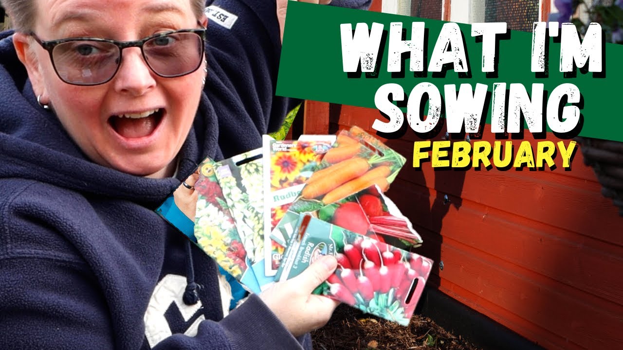 Seeds I'm Sowing In February