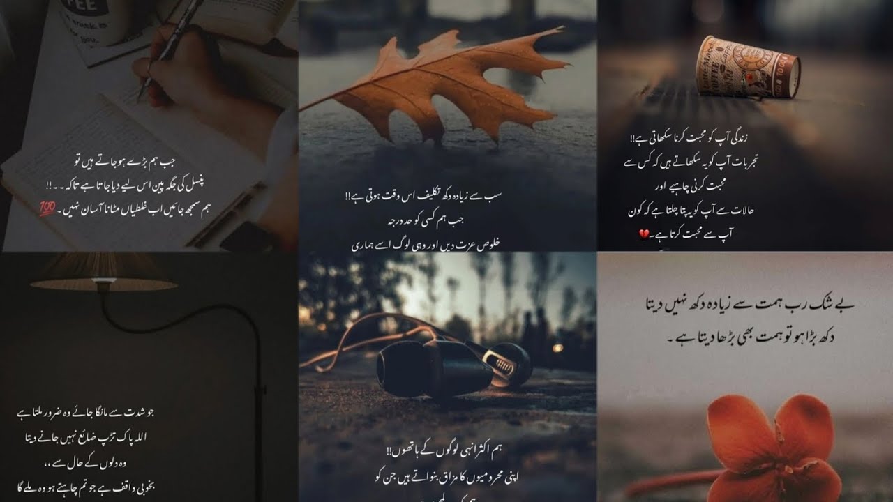 Islamic Status | Islamic Quotes | Islamic Video Status | Islamic Dpz 