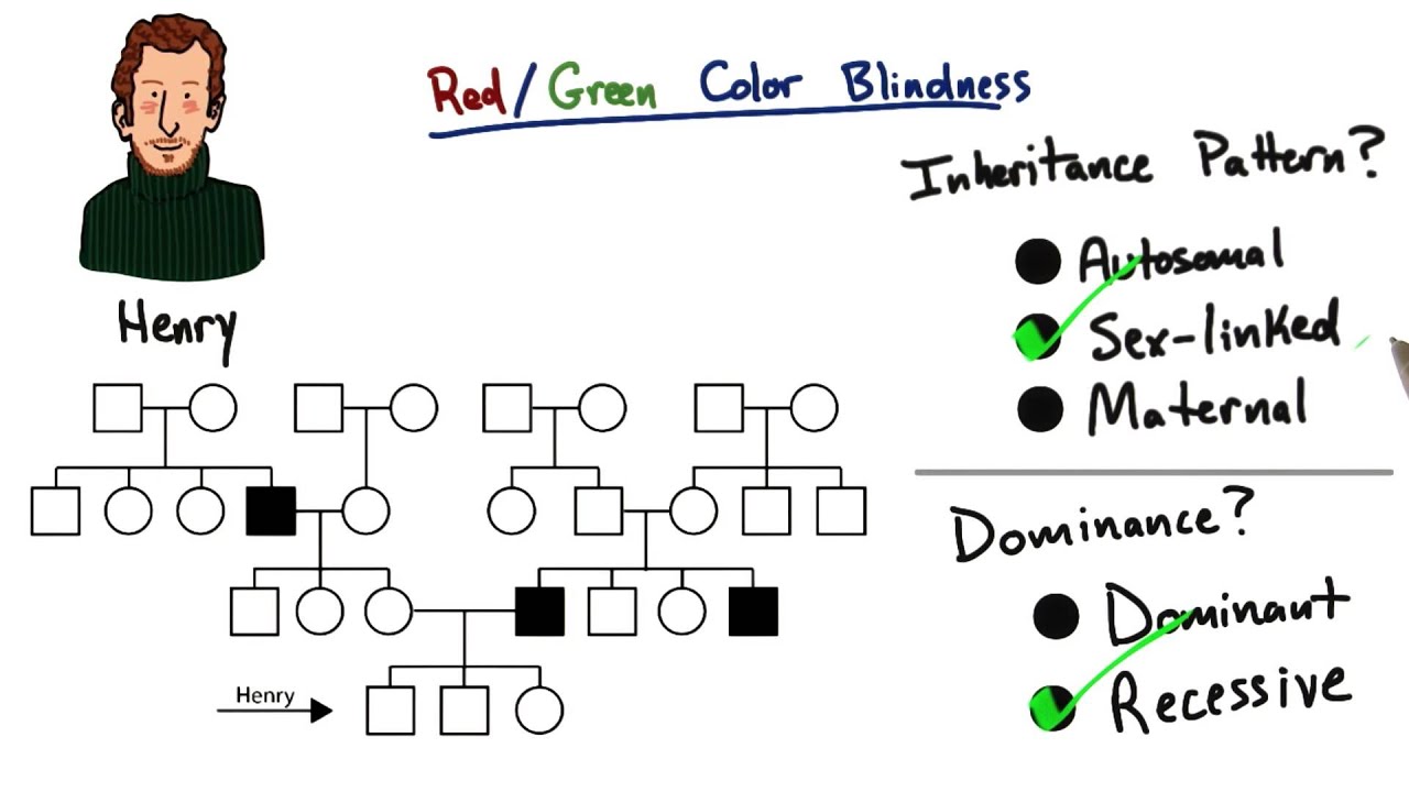 Red:Green Color Blindness - Tales from the Genome