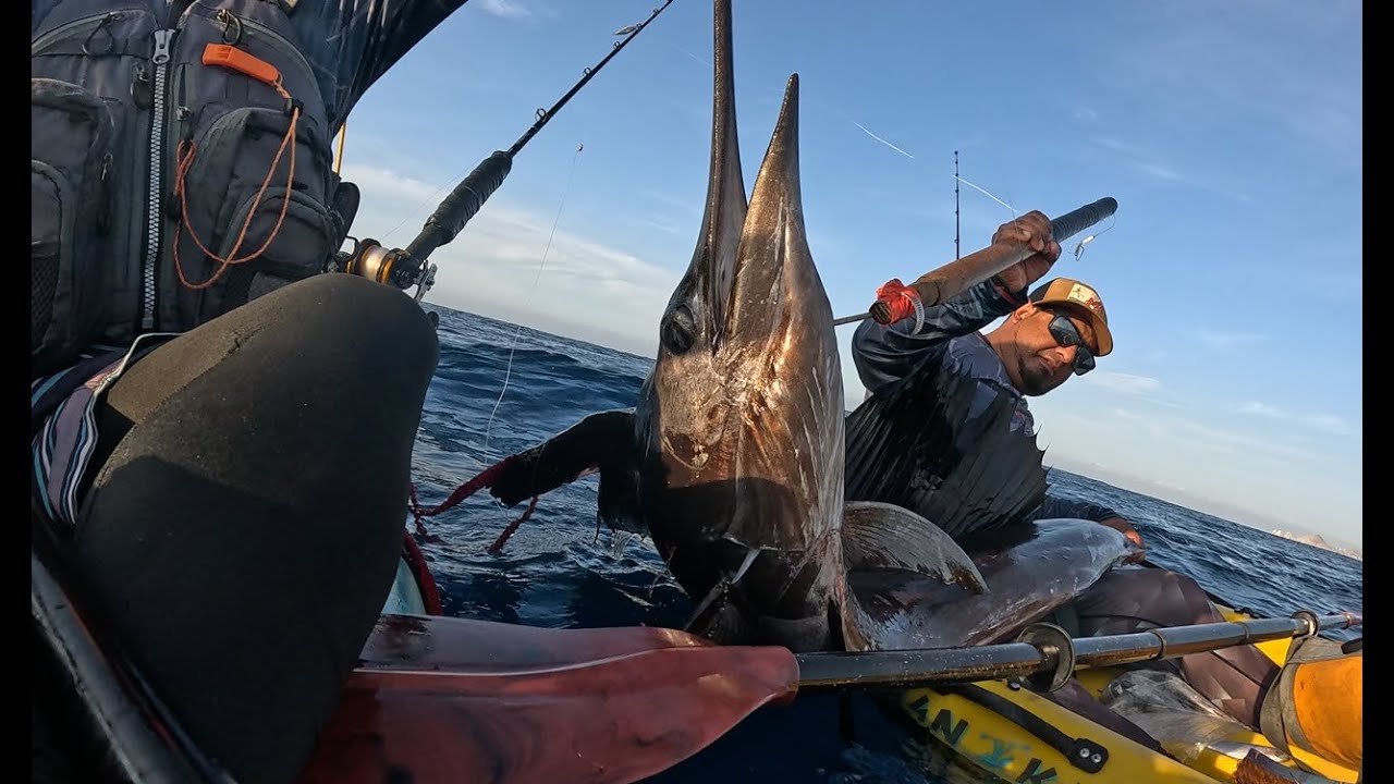 PELEA CONTRA PEZ VELA EN KAYAK