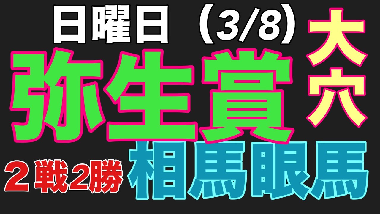 【2026年3月8日弥生賞】絶好調のエージェントマン、相馬眼馬、推奨馬と馬券になる情報満載です #keiba #情報  #関係者  #race #gate 