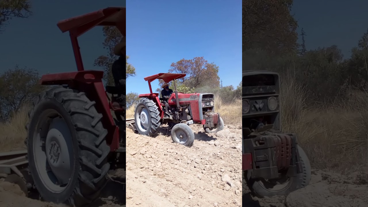 Massey Ferguson 265 rastreando