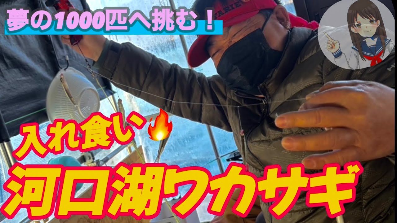 【河口湖わかさぎ】夢の１０００匹に挑む