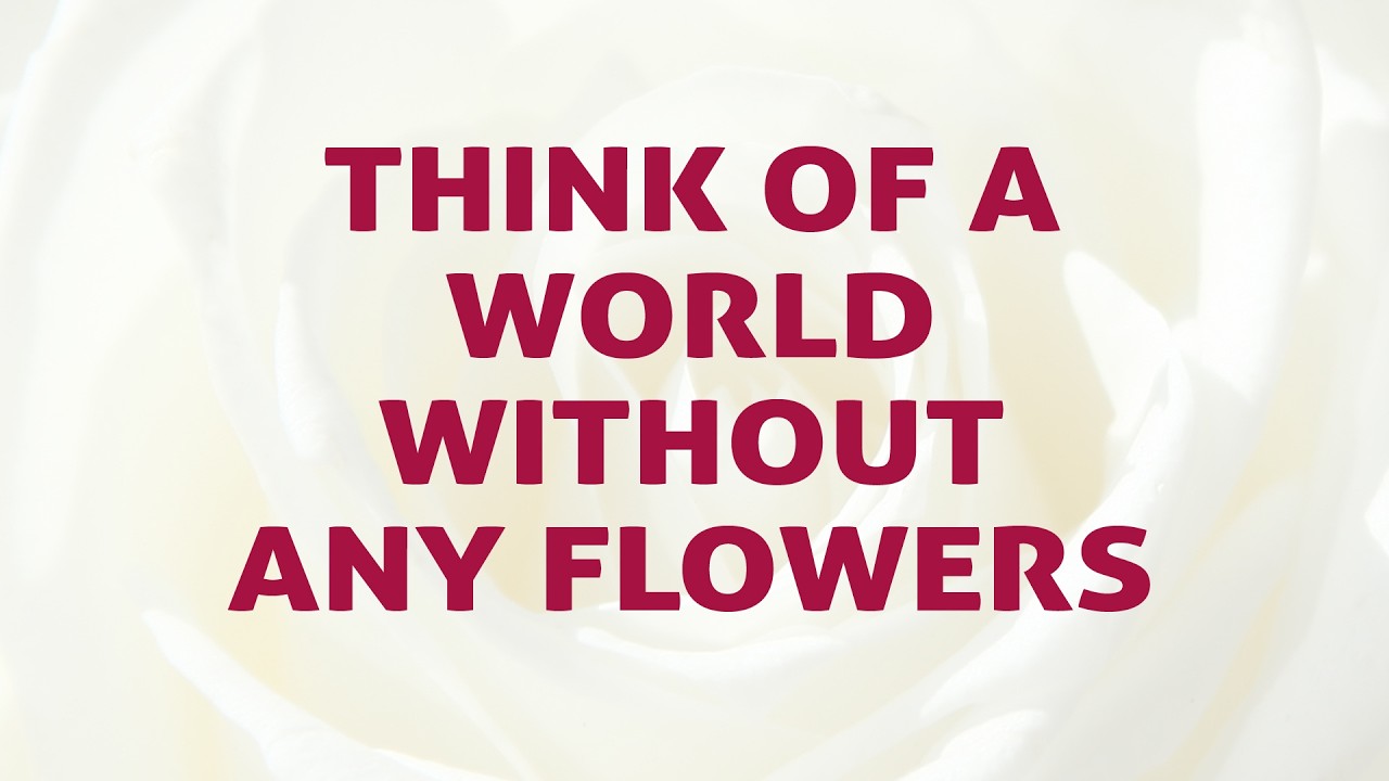 Think Of A World Without Any Flowers Song Lyrics Video - Divine Hymns