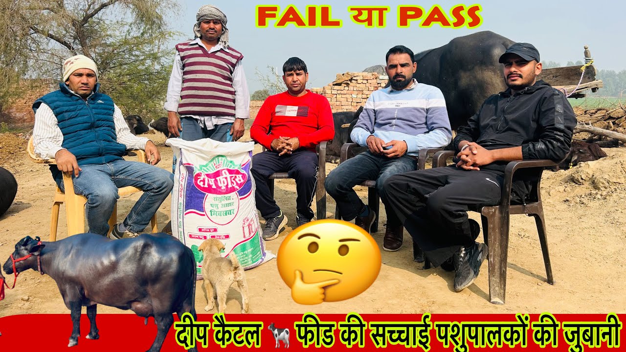 इस वीडियो में जाने फीड की असल सच्चाई , क्या वास्तव में “दीप पशु आहार “ पशुओं के लिए फायदेमंद है ||