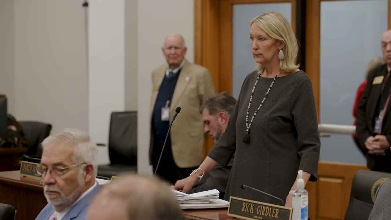 Sen. Julie Raque Adams on her SB 122 | Balancing Justice & Family Stability