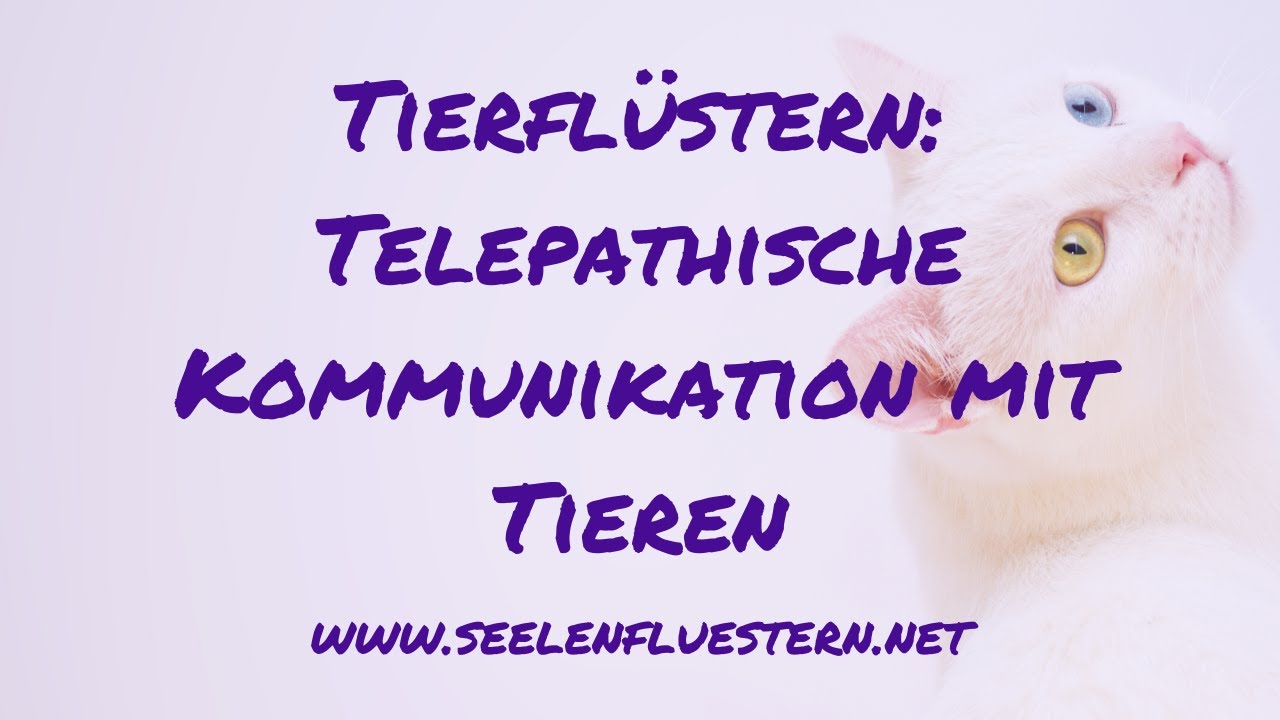 Tierfl&uuml;stern: Telepathische Kommunikation mit Tieren
